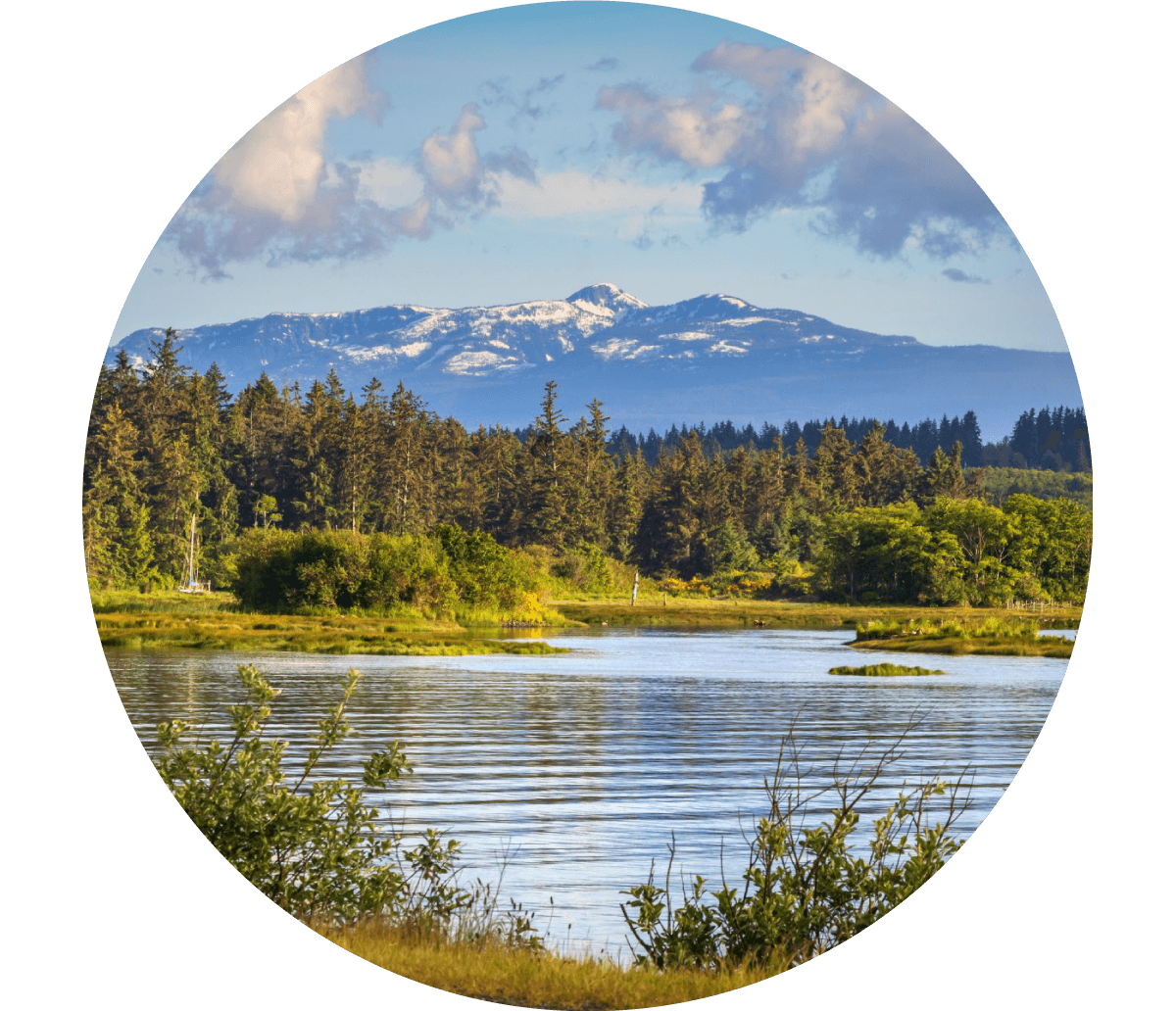 Campbell River image